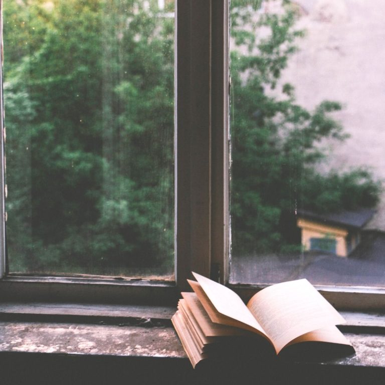 How to Recover Your Lost Love of Reading