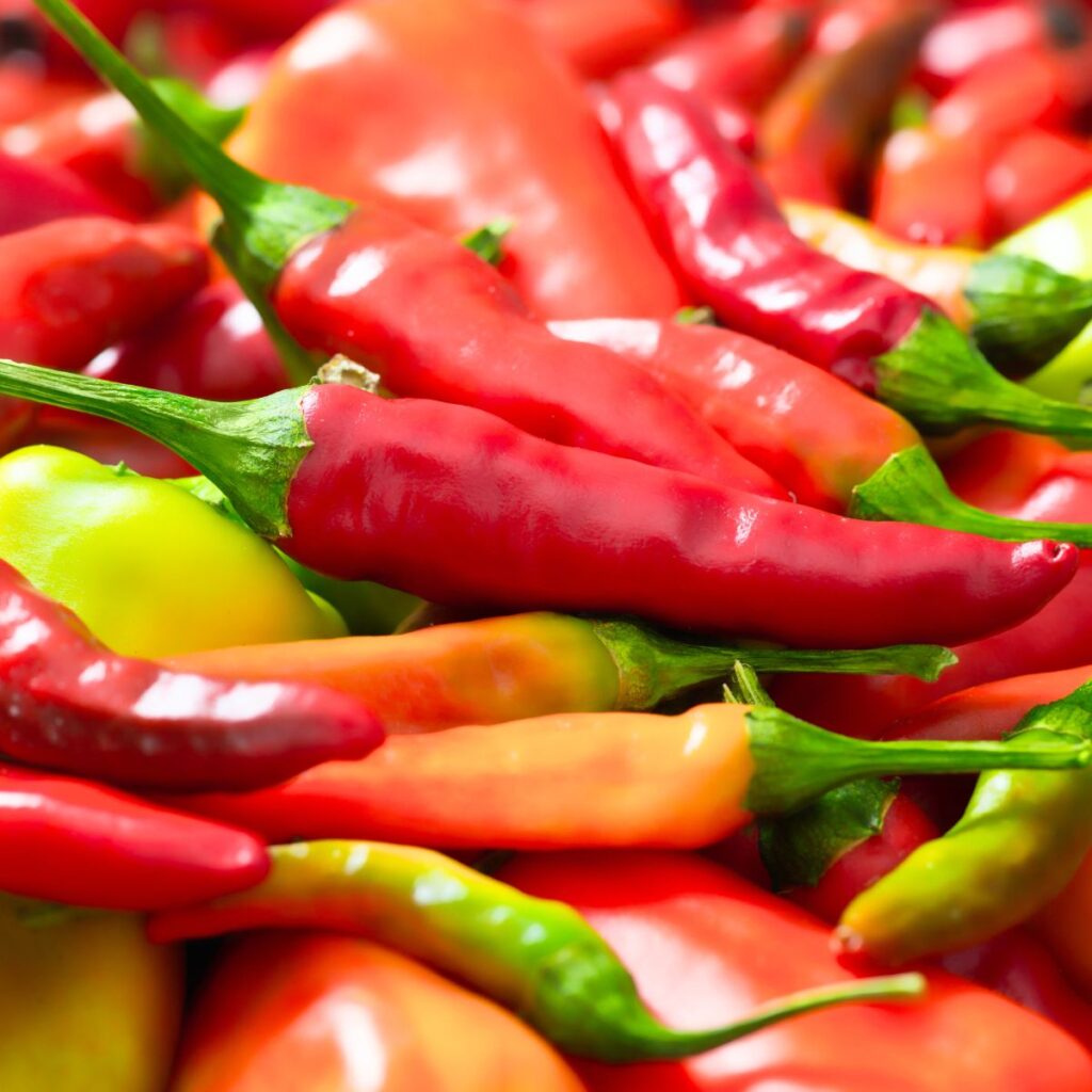 A pile of red, yellow, orange, spicy peppers.