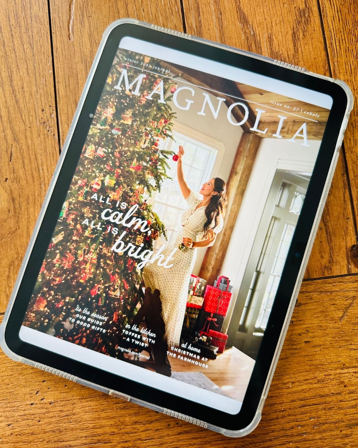 The cover of Magnolia magazine is on the iPad screen.